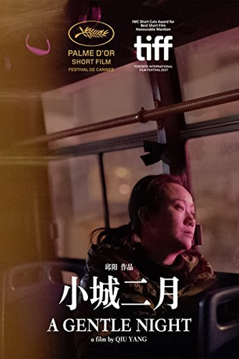 Poster de Curta A Gentle Night (2017)