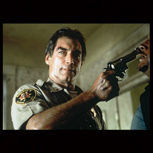 Foto de perfil de gomesalvez