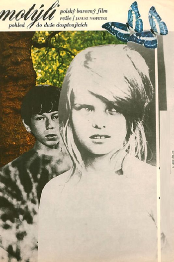 Poster de Filme Motyle (1973)