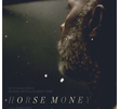 Cavalo Dinheiro