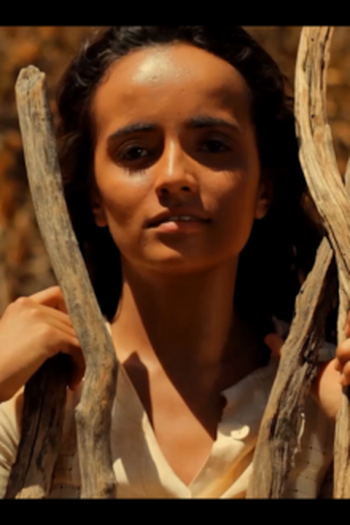 Poster de Curta Ser Tão Avoador (2013)