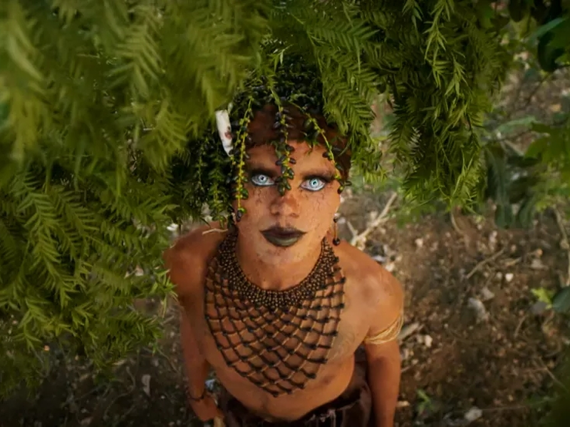 Foto 1 de Falas da Terra