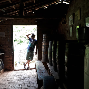 Foto de perfil de Pedro de Paula Filho
