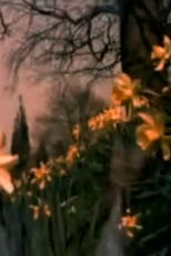 Fora do Baralho (Fora do Baralho)