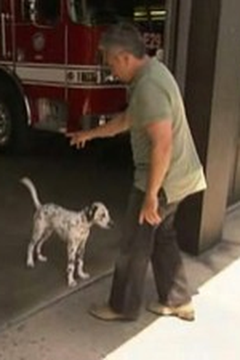 Poster de Episódio Wilshire and Butch (2006)