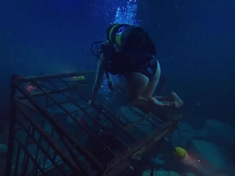 Foto 20 de Medo Profundo