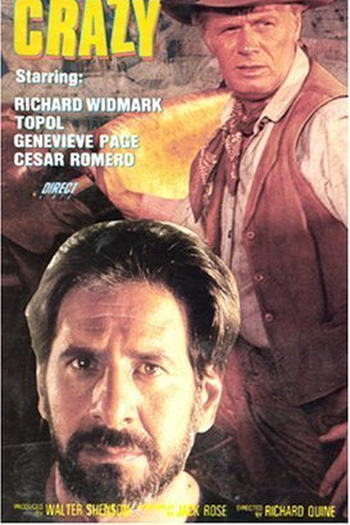 Poster de Filme Saindo pela culatra (1969)