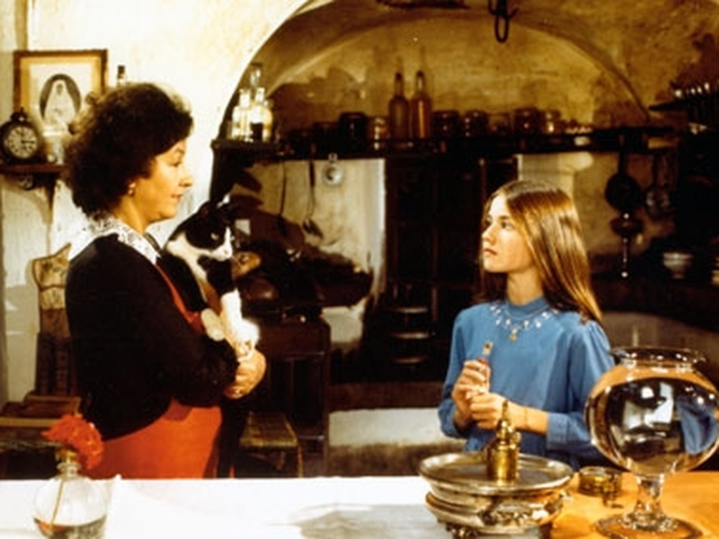 Foto 1 de L'adolescente