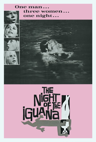 Poster 5 de Filme A Noite do Iguana (1964)