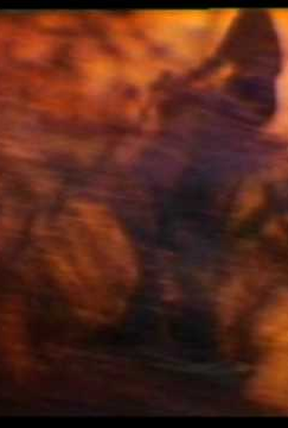 Poster 1 de Curta Heliografía (1993)