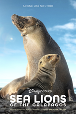 Sea Lions of the Galapagos (Sea Lions of the Galapagos)