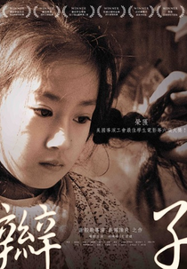 Braid (Bian Zi)