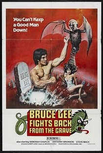 Bruce Lee - A Marca do Dragão - Poster / Capa / Cartaz - Oficial 1