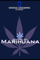 Bastidores (Inside Marijuana)