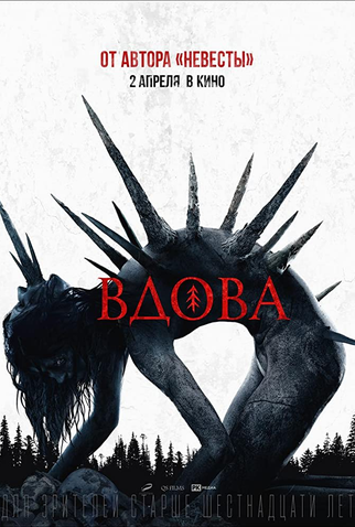 Poster 3 de Filme A Viúva das Sombras (2020)