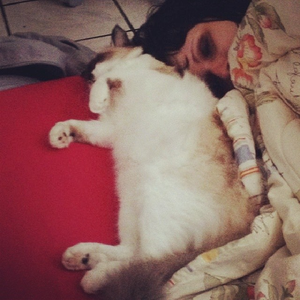 Foto de perfil de raquel