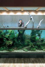 Takashi Amano (天野尚)