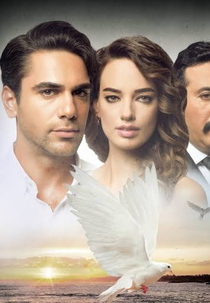 Asas do Amor (Bana Sevmeyi Anlat)