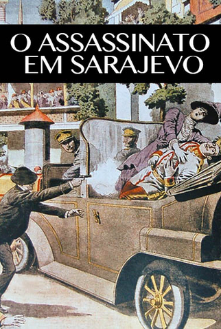 Poster 2 de Filme O Assassinato em Sarajevo (2014)