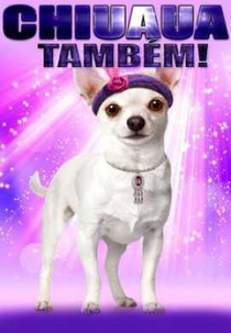 Chiuaua também! (Chihuahua Too!)