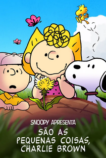 Snoopy Apresenta: São as Pequenas Coisas, Charlie Brown - Poster / Capa / Cartaz - Oficial 1
