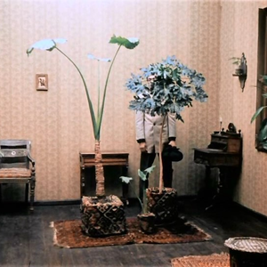 Foto de perfil de Alícia Lins