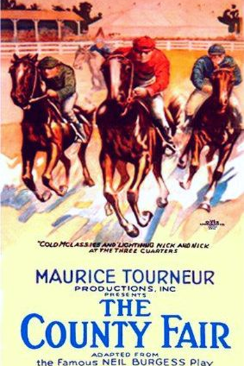 Poster de Filme The County Fair (1920)