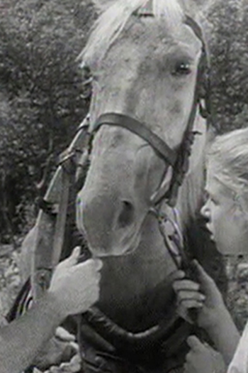 Poster de Episódio Black and White (1966)