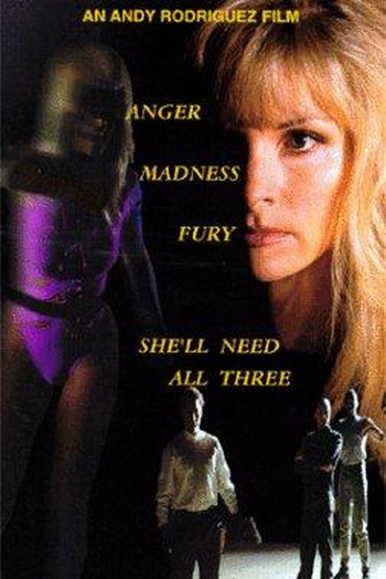 Poster de Filme Darkfury (1995)