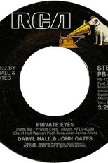 Daryl Hall & John Oates: Private Eyes (Daryl Hall & John Oates: Private Eyes)