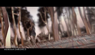 Zoltan Szalay animation reel 2013
