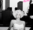TV Transvestite