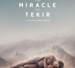 O Milagre de Tekir
