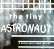 The Tiny Astronaut
