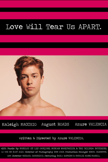 Poster de Filme Love will tear us apart  (2013)