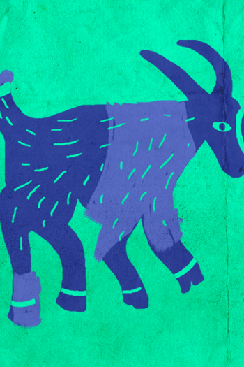  de Curta Bode de Natal (2016)