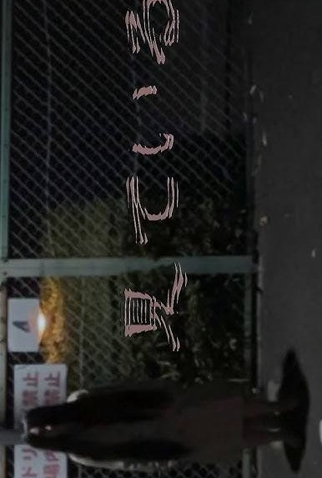 Poster 1 de Curta Looking (2021)
