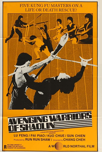 Os Combatentes de Shaolin - Poster / Capa / Cartaz - Oficial 6