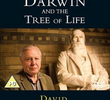 BBC – Charles Darwin e a Árvore da Vida 
