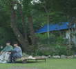 4회