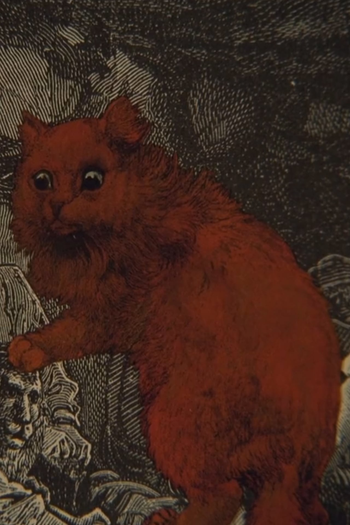 Poster de Curta The Apoplectic Walrus (2015)