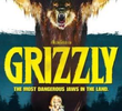 Grizzly A Fera Assassina