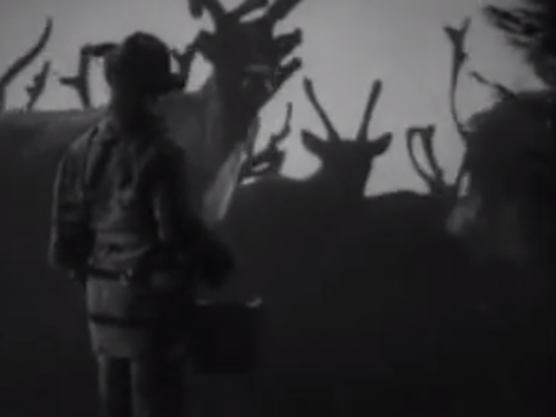 Foto 2 de O Último Drink