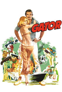 Gator, O Implacável - Poster / Capa / Cartaz - Oficial 3