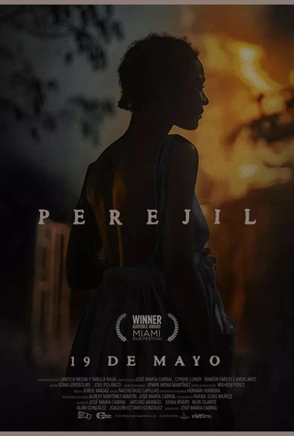 Poster 1 de Filme O Massacre da Salsinha (2022)