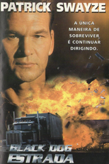 Estrada Alucinante (Black Dog)