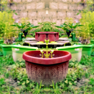 Foto de perfil de Ulisses