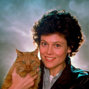 Foto de perfil de isabella