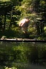 The Reflecting Pool (The Reflecting Pool)