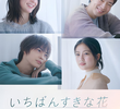  いちばんすきな花